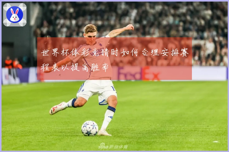 世界杯体彩竞猜时如何合理安排赛程表以提高胜率