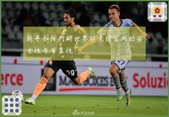 新手如何判断世界杯竞猜官网的安全性与可靠性？